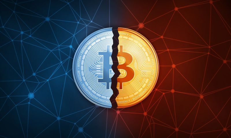 Long-term effect of Bitcoin halving. | INFbusiness