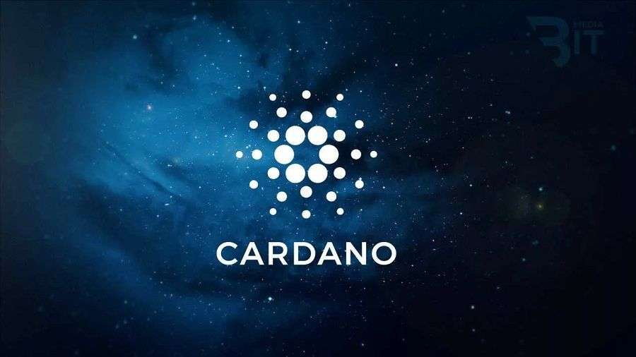 Cardano developers will conduct hardfork network in mid-December | INFbusiness