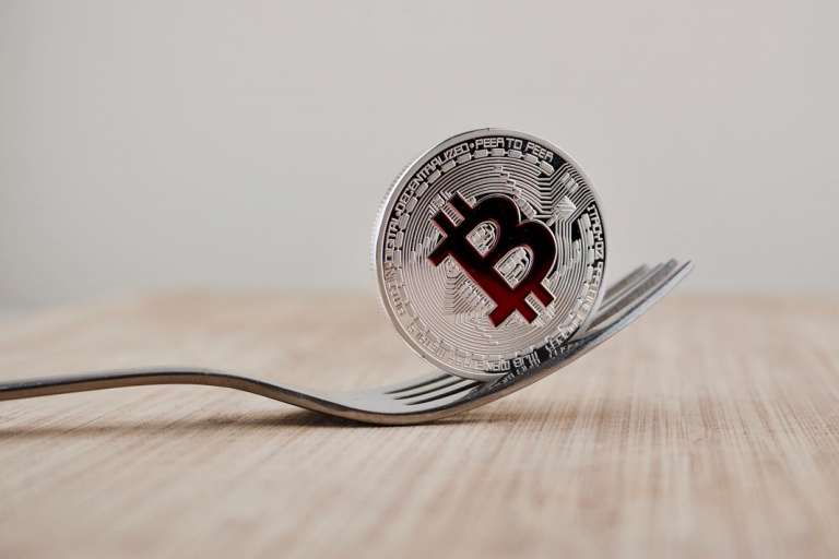 What is a cryptocurrency fork, and how to make money on it | INFbusiness