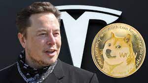 Elon Musk and Dogecoin