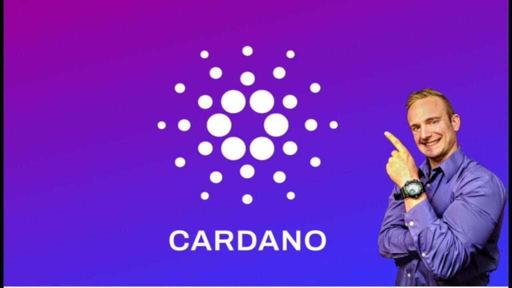 Cardano rose in price