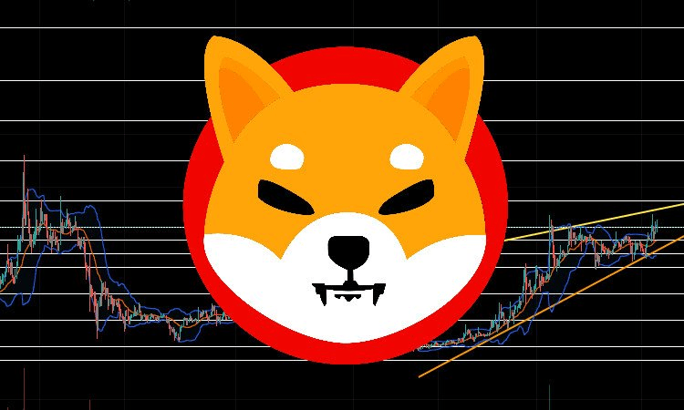 Is it too late to buy Shiba Inu? Experts shared their price forecasts for SHIB | INFbusiness