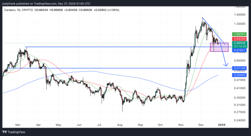 Cardano Price Could Dump 57%, But 2025 Could Be Huge for ADA | INFbusiness