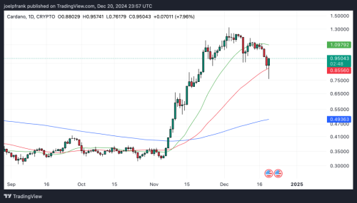 Crypto Crash Hits Cardano Hard – Can ADA Start 2025 Strong? | INFbusiness