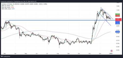 Cardano Price Risks Further Downside, Can It Recover in 2025? | INFbusiness