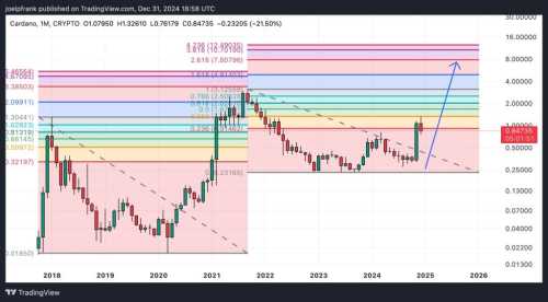 Cardano Price Risks Further Downside, Can It Recover in 2025? | INFbusiness