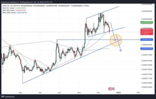 Shiba Inu Price Dumps 7% After Fed, Bigger Crash Incoming? | INFbusiness