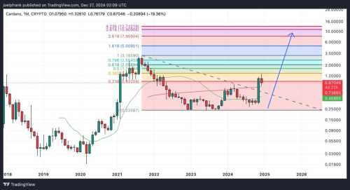 Cardano Price Could Dump 57%, But 2025 Could Be Huge for ADA | INFbusiness