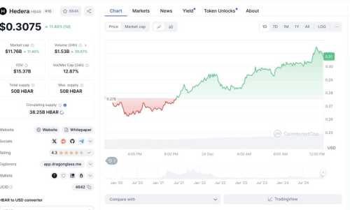 Hedera Skyrockets 11% in 24 hours Overtaking Stellar Market Cap | INFbusiness