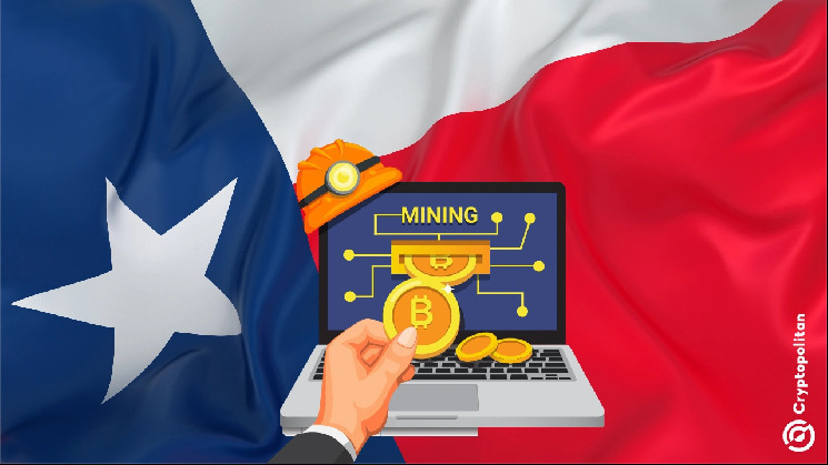 Texas an Oasis for Bitcoin says the only Bitcoin Miner in US Senate | INFbusiness