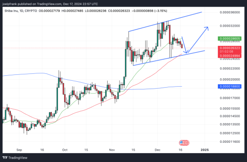 Shiba Inu Price Slumps, Eyes This Key Support Zone | INFbusiness