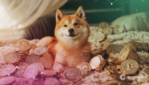 Bitwise Fund Manager Files Dogecoin ETF in Delaware: Report | INFbusiness