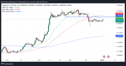 Dogecoin Price Hits ‘Rock Solid’ Support – $1 Surge Incoming? | INFbusiness