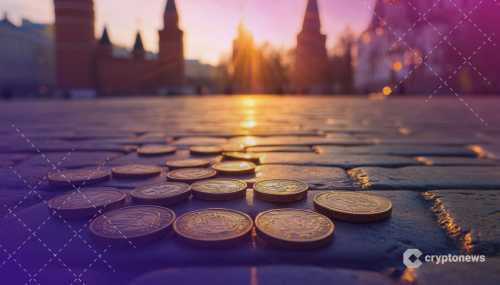 Over One in Five Russians Trade Meme Coins, Survey Finds | INFbusiness