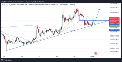 Shiba Inu Whale Snaps Up 220 Billion Tokens – $1 SHIB Possible? | INFbusiness