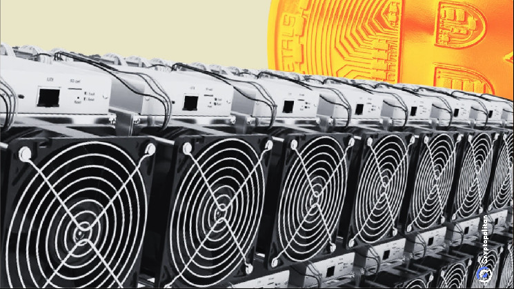 Bitcoin mining in 2024 was a roller coaster ride | INFbusiness