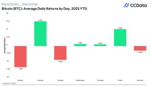 BTC is 'Generational Opportunity' as World Nears Total Chaos, Says Bitwise Exec | INFbusiness