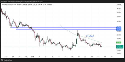 TRUMP Coin Price to Collapse? Risks Are Growing, Here's Why | INFbusiness