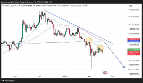 Shiba Inu (SHIB) in Trouble as Technical Signals Flash Bearish | INFbusiness