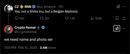CZ Hints at Meme Coin Based on His Dog, Teases BNB Chain Involvement | INFbusiness