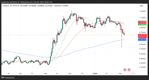 Cardano Price Analysis: February Set to be a "Crazy Month"? | INFbusiness