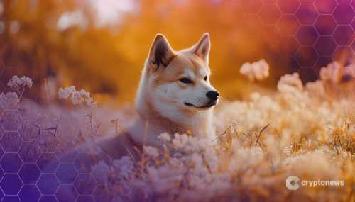 Grayscale Introduces Dogecoin Investment Fund Available to Institutional Investors | INFbusiness