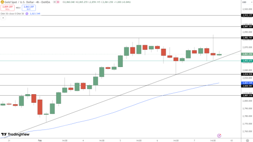 Gold-Backed Altcoins Boom as Major Banks Raise Price Predictions: Which Coins to Get | INFbusiness