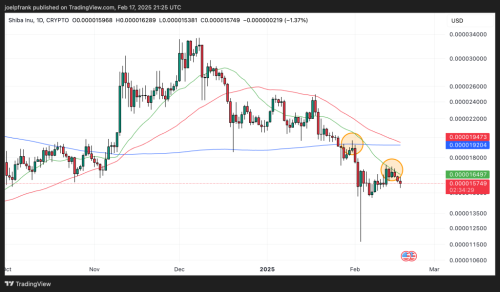 Shiba Inu (SHIB) in Trouble as Technical Signals Flash Bearish | INFbusiness