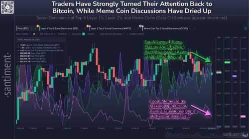 Traders Flock to Bitcoin and Layer-1 Assets as Meme Coin Hype Fades | INFbusiness