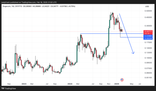 Dogecoin Price Approaches Key Technical Level - Where now? | INFbusiness