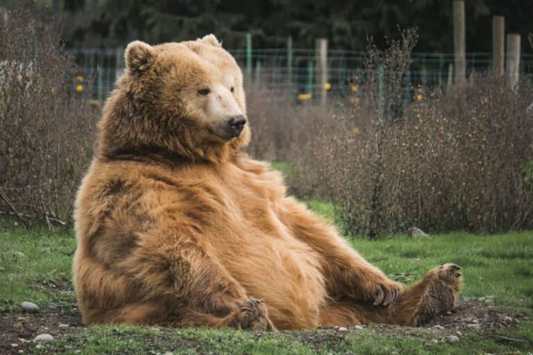 Market carnage wiped out traders, but one cryptocurrency held up despite millions pouring in | INFbusiness