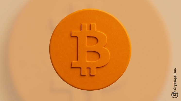 Russia and China Lead Bitcoin Hashrate Growth | INFbusiness