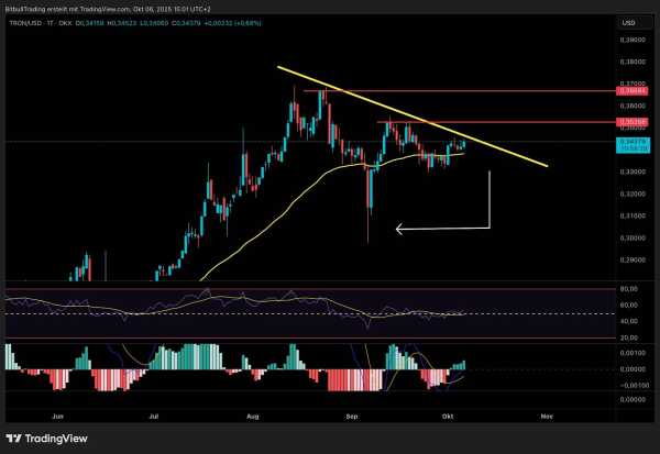 Tron builds momentum: TRX price before the next breakout? | INFbusiness