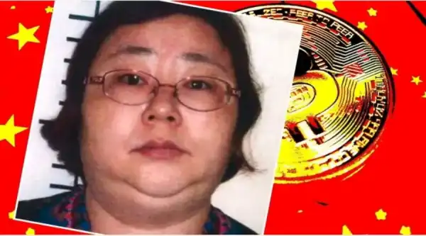A court in London has condemned Zhimin Qian, a 47-year-old national of China also known as Yadi Zhang, to 11 years of imprisonment for deceit and laundering cryptocurrency. Thief Gets Jail Time in London Over $3 Billion Crypto Heist | INFbusiness