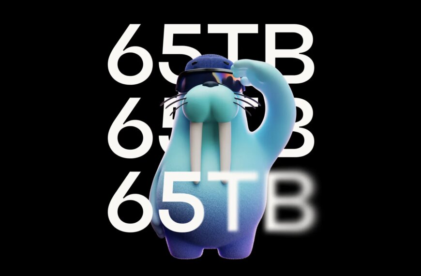 65TB of Blockchain Data Now Accessible via Walrus