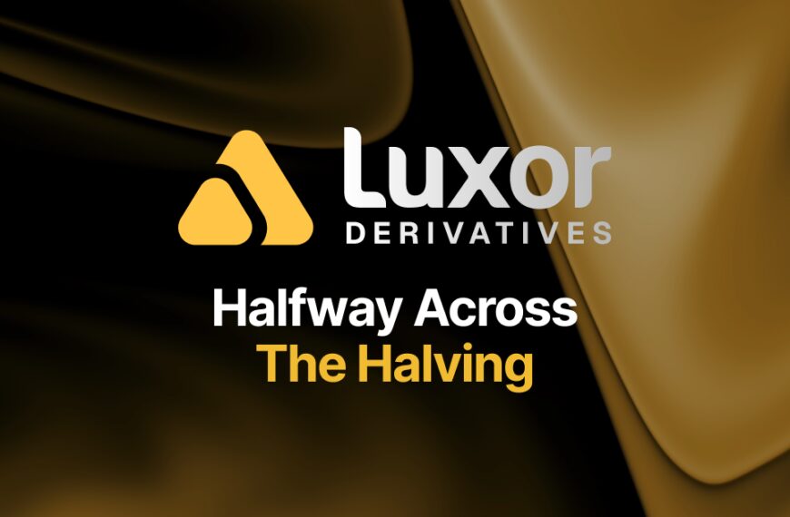 Halving Midpoint: Hedgers Lead Crypto Gains