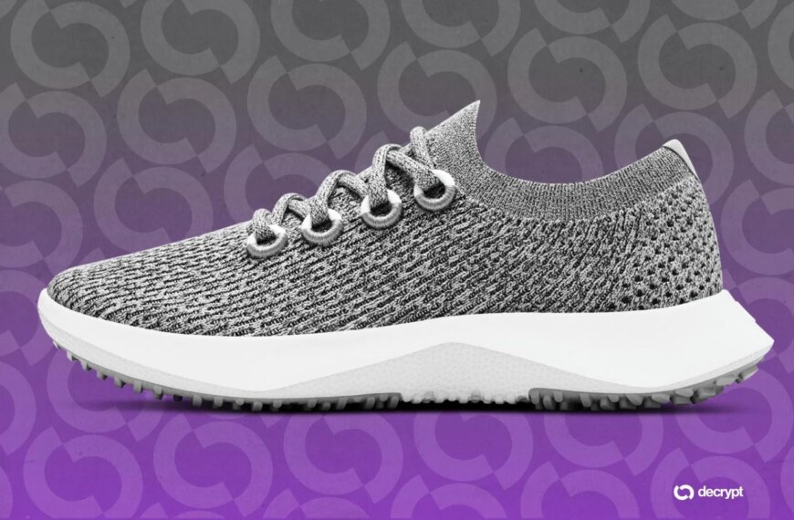 Allbirds Soars 400% on AI Pivot