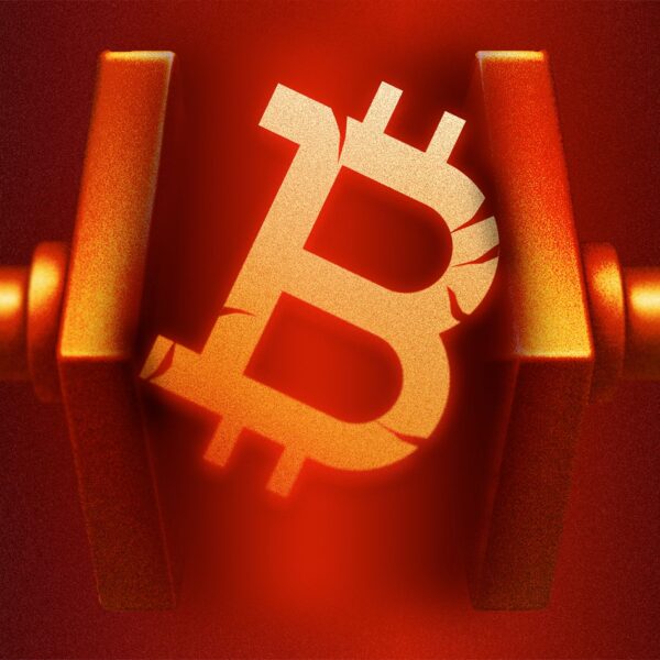 Whales Swallow $200M Loss in Bearish Bitcoin Market