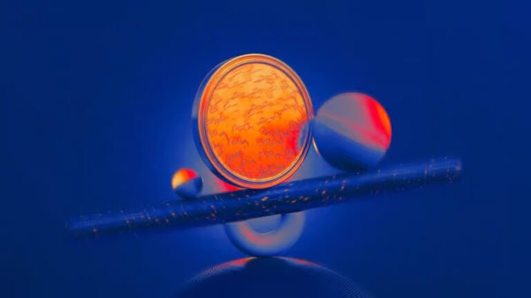 Citadel Securities Eyes Prediction Markets Beyond Sports 13