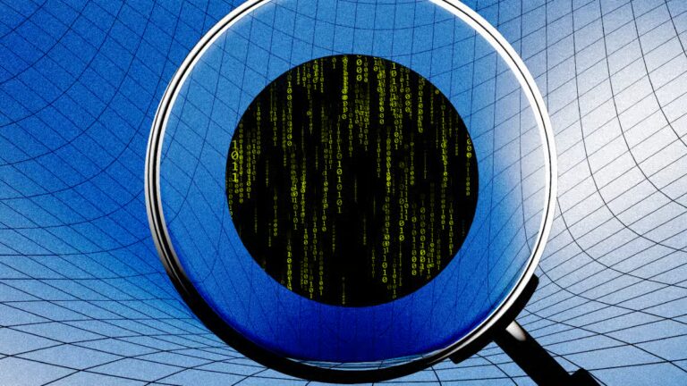 Bitcoin Fog Appeal Questions DOJ's Global Crypto Reach 13
