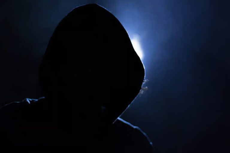 Bitcoin Kidnapper Pleads Guilty, Faces 20 Years 7